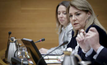 La vicepresidenta primera, consellera de Servicios Sociales, Igualdad y Vivienda y portavoz del Consell, Susana Camarero, comparece en Les Corts. (Foto: José Cuéllar/Corts Valencianes)