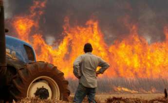 Un incendio. Foto: FUVAMA.