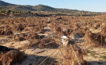 Recordemos y preparémonos para futuras riadas