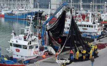 Imagen de archivo de varios barcos pesqueros en un puerto gallego