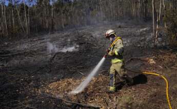 Galicia da por controlado el incendio forestal registrado en la parroquia compostelana de Filgueiras. Foto: Europa Press