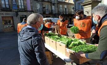 Un grupo de agricultores regala lechugas en la Praza do Toural de Santiago / E.P.