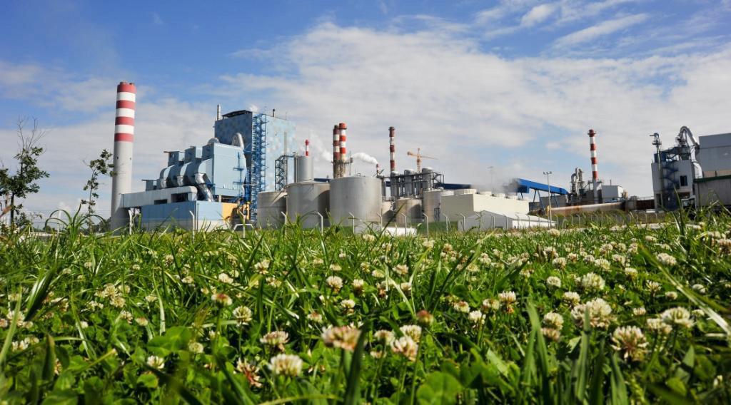 La fábrica de Celbi, ubicada en Figueira da Foz, que quiso comprar Ence / Celbi