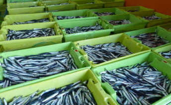 Comienzan los amarres de la flota pesquera en toda España debido al aumento del precio de los combustibles por la guerra en Ucrania. Foto de archivo: EFE