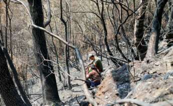 Voluntarios observan exhaustos los daños causados en la Sierra de Courel tras el incendio