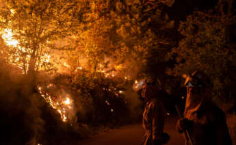 Incendio O Barco de Valdeorras (Ourense)