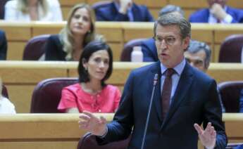 Alberto Núñez Feijóo en el Senado / EFE