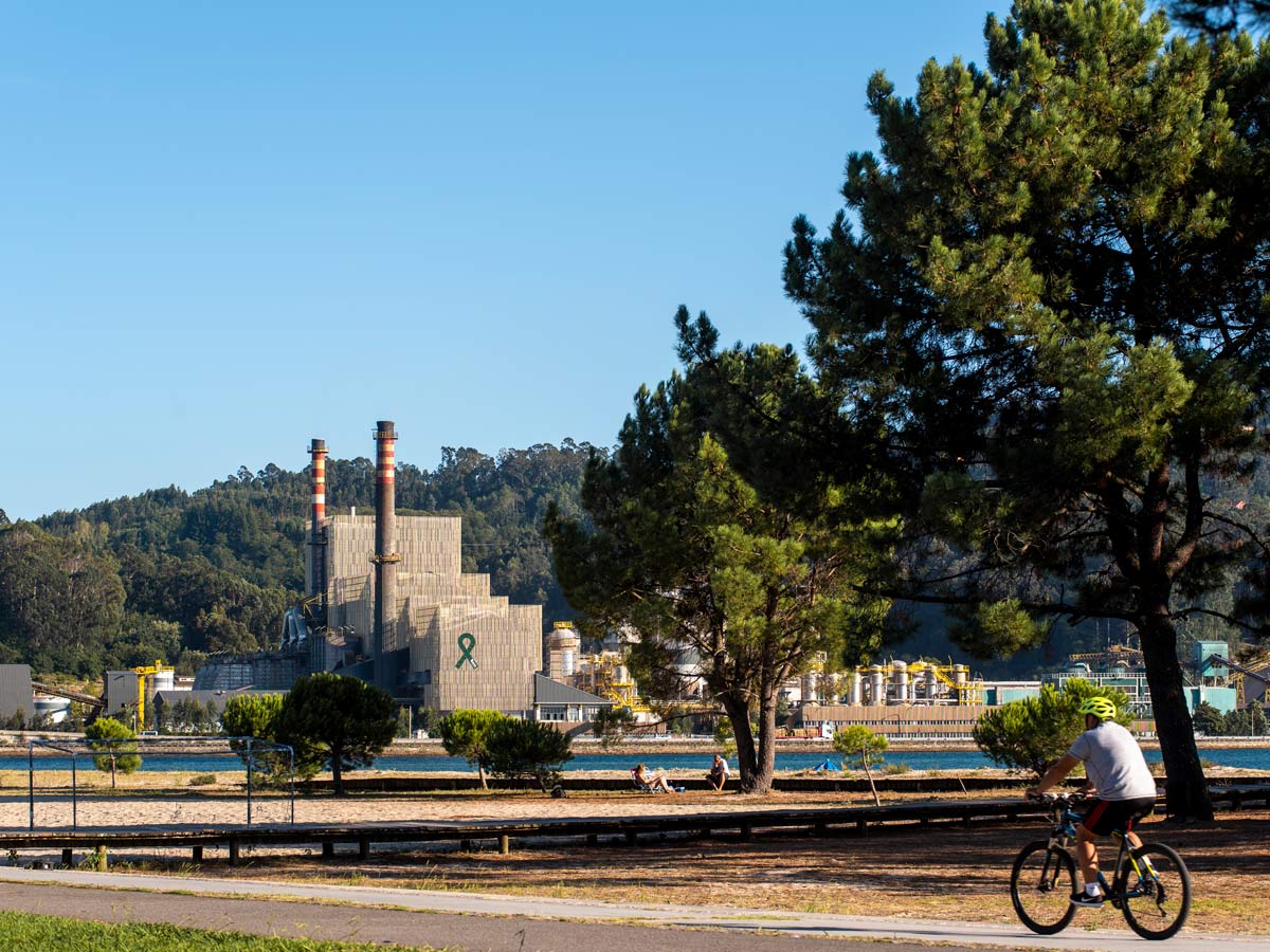 Biofábrica de Ence en Pontevedra