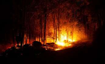Imagen de un incendio declarado en la zona de Caldas