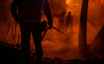 os bomberos tratan de apagar las llamas y árboles ardiendo por un incendio que hasta ahora ha quemado 100 hectáreas en Castrelo de Miño (Ourense)