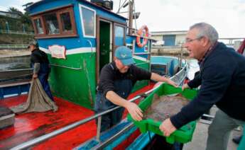 Pescadores descargan su barco en el puerto de Ribadeo