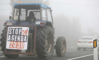 Agricultores circulan por la carretera N-547 dirección Lugo este martes.