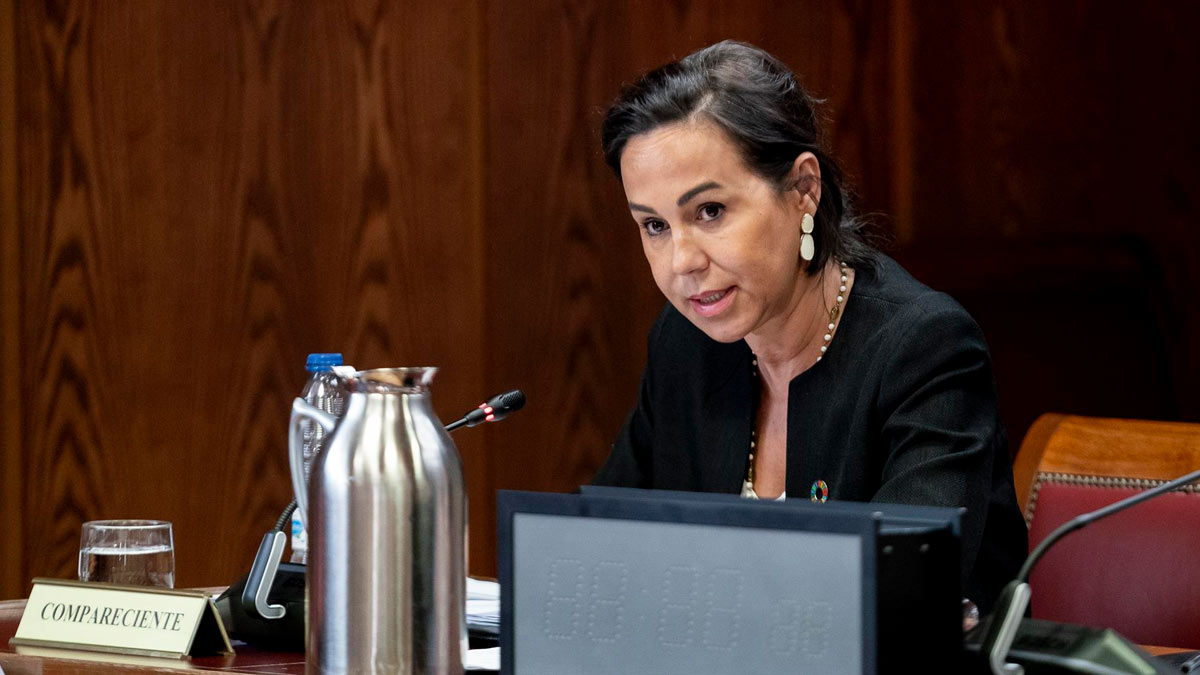 La expresidenta de Adif y exsecretaria de Estado de Transportes, Movilidad y Agenda Urbana, Isabel Pardo de Vera (c), comparece ante la Comisión de Investigación sobre el ‘caso Koldo’, en el Senado, a 31 de mayo de 2024, en Madrid (España)