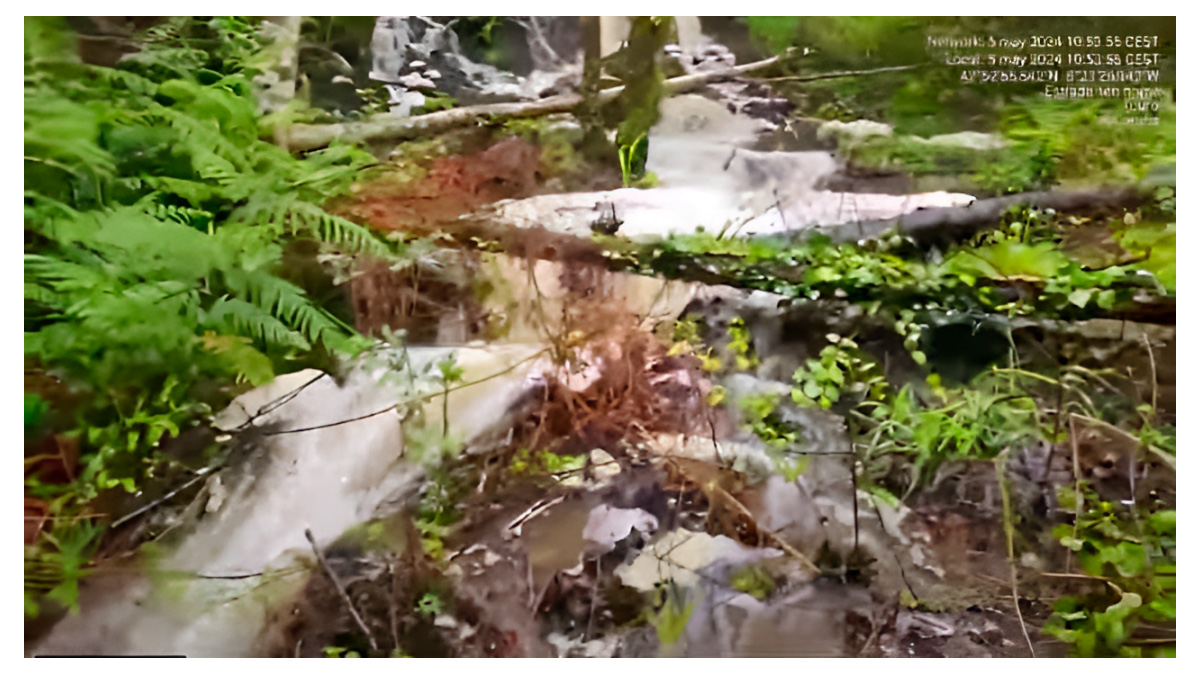 Captura del video difundido por Ecoloxistas en Acción en el que denuncian el vertido en el río Brandelos
