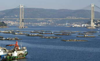 Vista del Puente de Rande y las bateas en la ría de Vigo. EFE/Salvador Sas