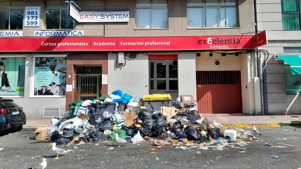 Basura acumulada en una calle de A Coruña, rodeada de gaviotas