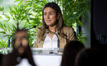 La senadora gallega Pepa Pardo