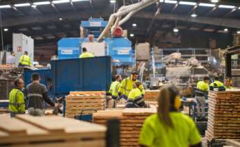 Los aserradores gallegos alertan de la falta de suministro estable de pino en Galicia por las plagas y el avance del eucalipto