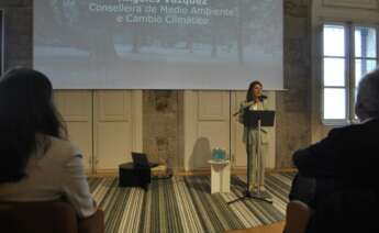 La conselleira de Medio Ambiente e Cambio Climático,´Angeles Vázquez, durante la presentación de la tercera edición del Atlas Urbano de la Sostenibilidad en Galicia / Pablo Ares Heres