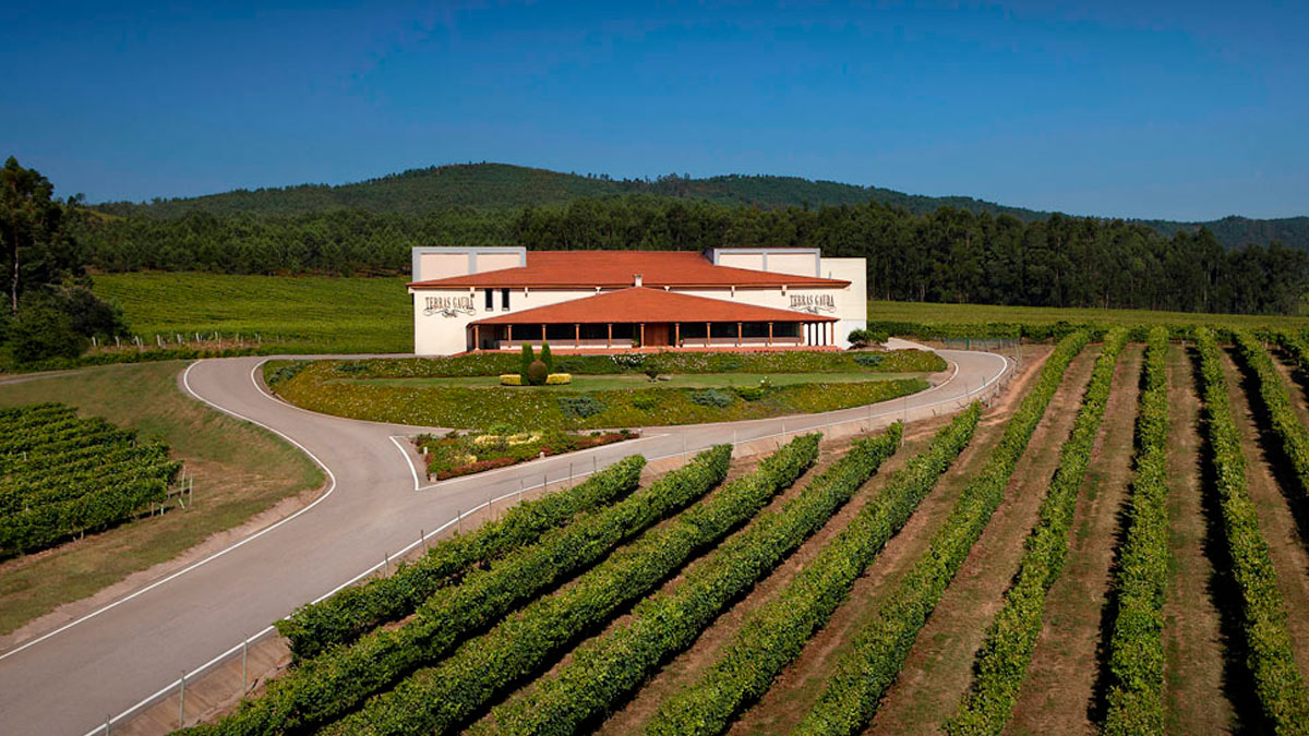 Bodega Terras Gauda. Terras Gauda