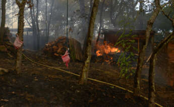 Jardín privado quemado durante el incendio, a 12 de agosto de 2025, en Seixalbo, Ourense