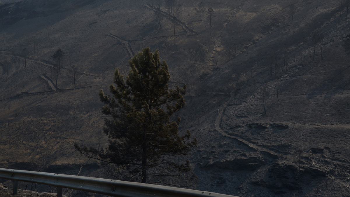 Vista tras el incendio en San Vicente de Leira