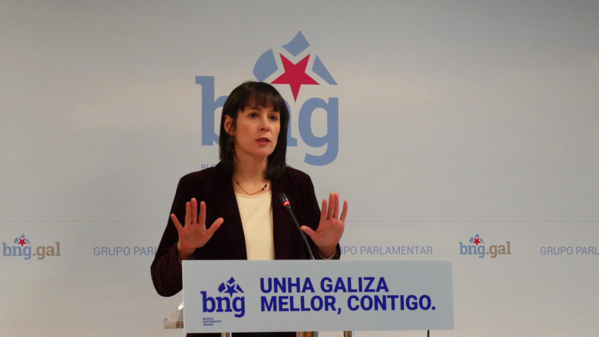 Ana Pontón, portavoz nacional del BNG