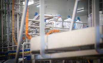 El presidente de la Xunta, Alfonso Rueda, en una visita a la factoría de Entrepinares en Vilalba