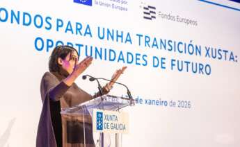 La conselleira de Industria, María Jesús Lorenzana, en la presentación de nuevas líneas de ayuda de la Xunta a zonas de Transición Justa, como As Pontes y Meirama