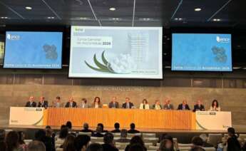 Ence destaca en su junta general de accionistas su posicionamiento como "motor de la autonomía energética"