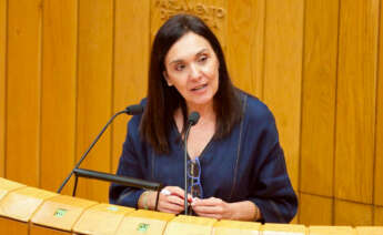 La portavoz de Medio Rural del PSdeG en el Parlamento, Carmen Dacosta