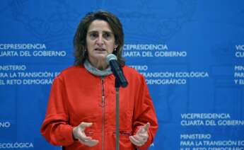 La ministra de Transición Ecológica, Teresa Ribera, en un acto en Madrid el 18 de diciembre de 2020 | EFE/FV/Archivo