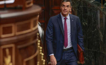 El presidente del Gobierno en funciones, Pedro Sánchez. EFE/ Sergio Pérez