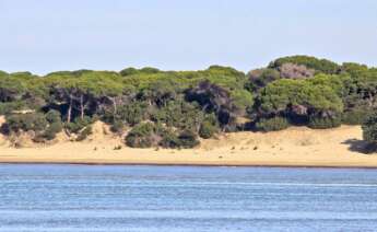 Parque nacional y natural de Doñana.