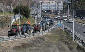 Agricultores durante la marcha realizada con sus tractores salen de la autovía A-7 para circular por carreteras secundarias a la altura del término municipal de Los Barrios (Cádiz). EFE/A.Carrasco Ragel.