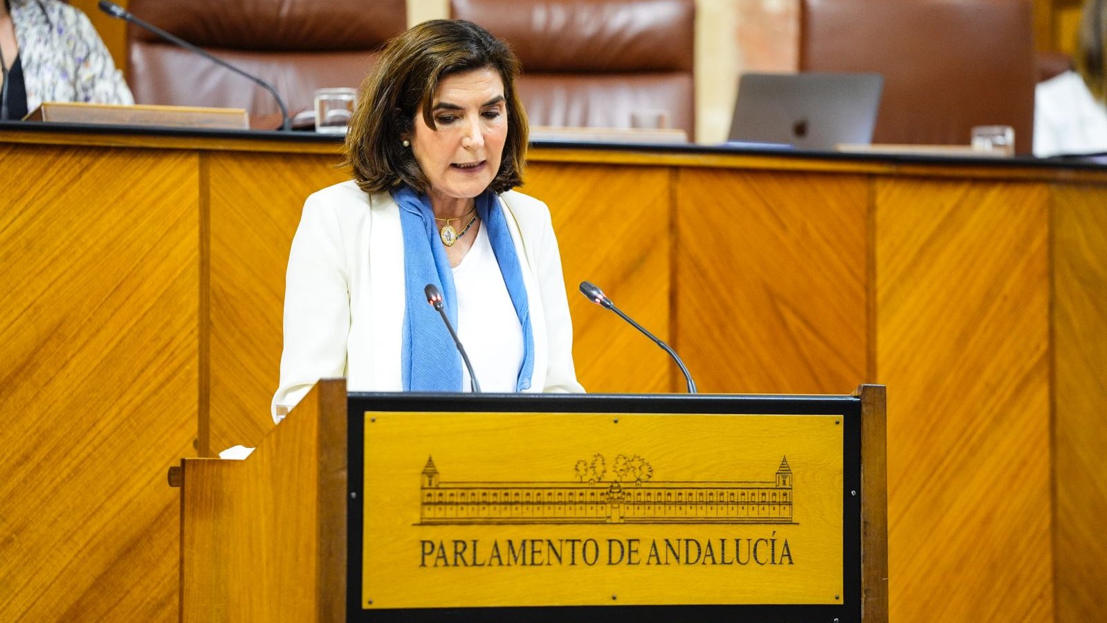 Rocío Blanco, consejera de Empleo, en el salón de Plenos del Parlamento. Foto: Consejería de Empleo, Empresa y Trabajo Autónomo