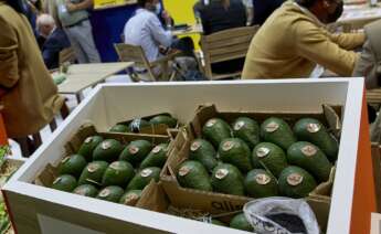 Cajas de aguacates en una edición pasada de la feria 'Fruit Attraction' en Madrid.