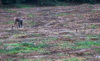 Campos de la pedanía anegados por el agua. A 14 de noviembre de 2024, en San Pablo de Bucite, Cádiz (Andalucía, España). Zonas del campo de gibraltar ha sufrido Inundaciones al paso de DANA como San Pablo de Buceite qu es una pedanía que se encuentra situada al noreste del término municipal de Jimena de la Frontera, en la orilla derecha del Guadiaro, dentro de la comarca del Campo de Gibraltar, en la provincia de Cádiz. Nono Rico (Europa Press) 14/11/2024