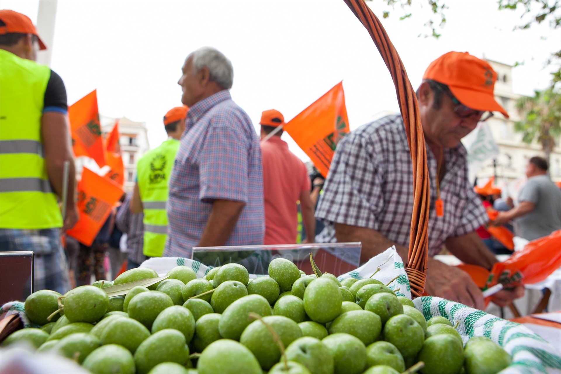 Protesta de productores de aceituna de mesa en Sevilla en 2018.