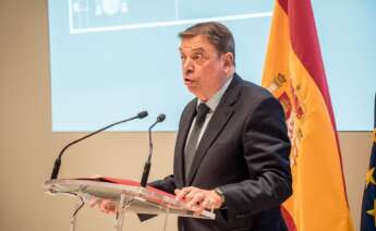 Planas Bruselas / pesca