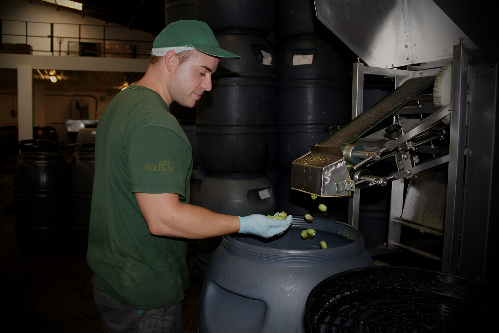 Empleado de Aceitunas Roldán en la fábrica de Málaga.