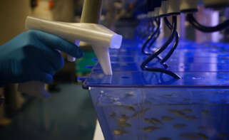 Instalaciones de Biobide, empresa del grupo Biat.