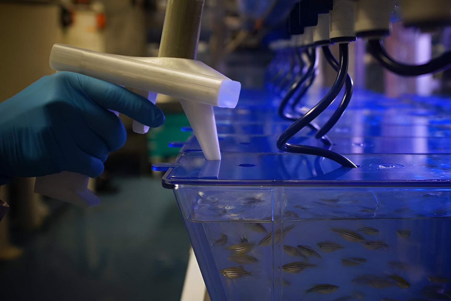 Instalaciones de Biobide, empresa del grupo Biat.