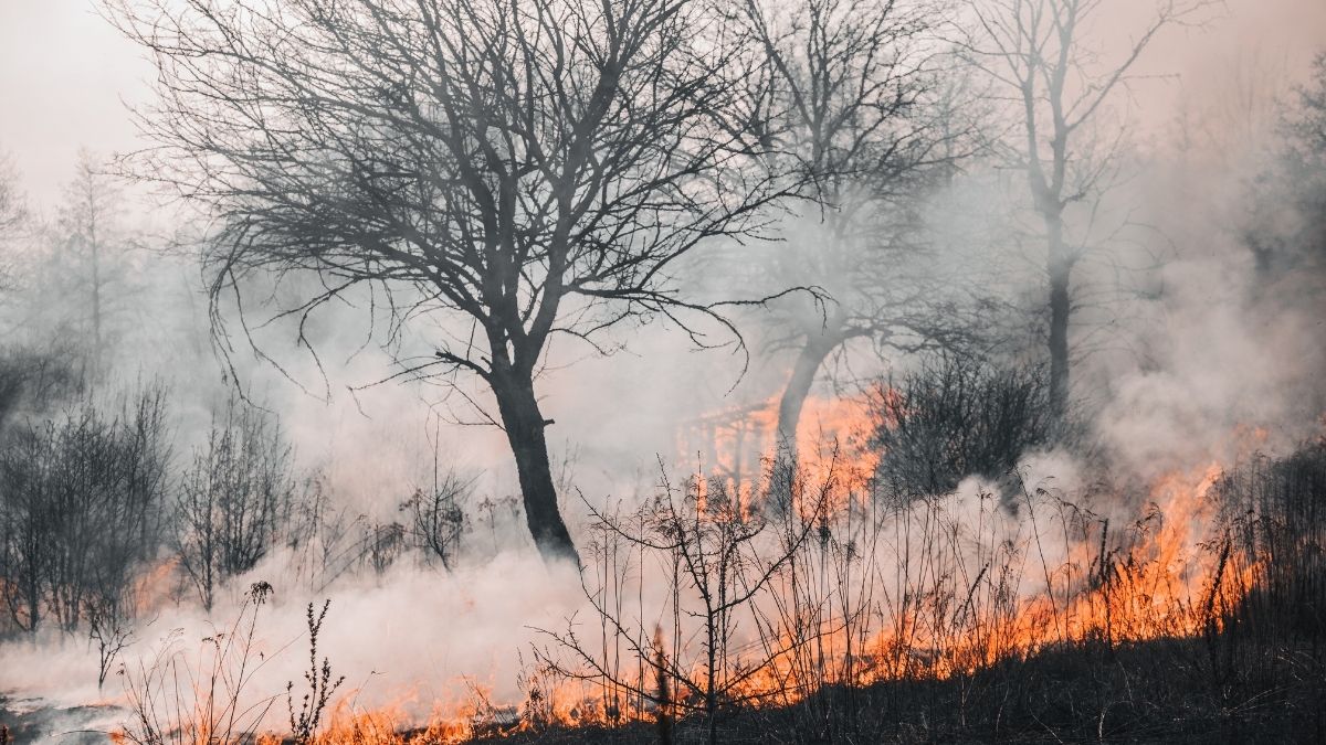 Incendios en Andalucía