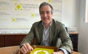Jaime Martínez-Conradi, director general de Cooperativas Agroalimentarias de Andalucía.