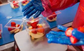 Operario de BerryWorld trabaja con fresas. Imagen: AgroBerries