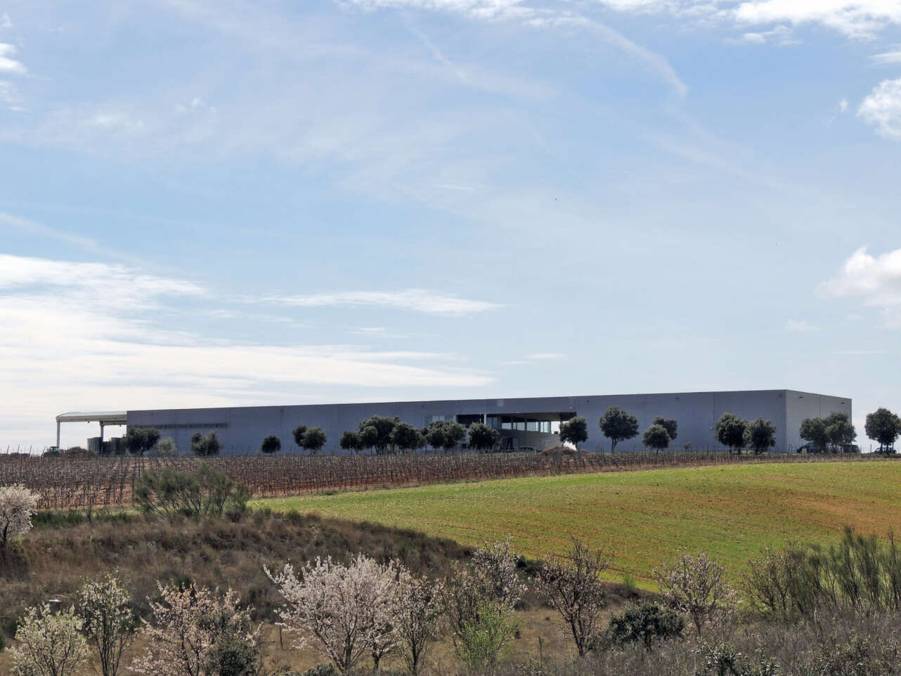 Bodega en Rueda, Familia Torres