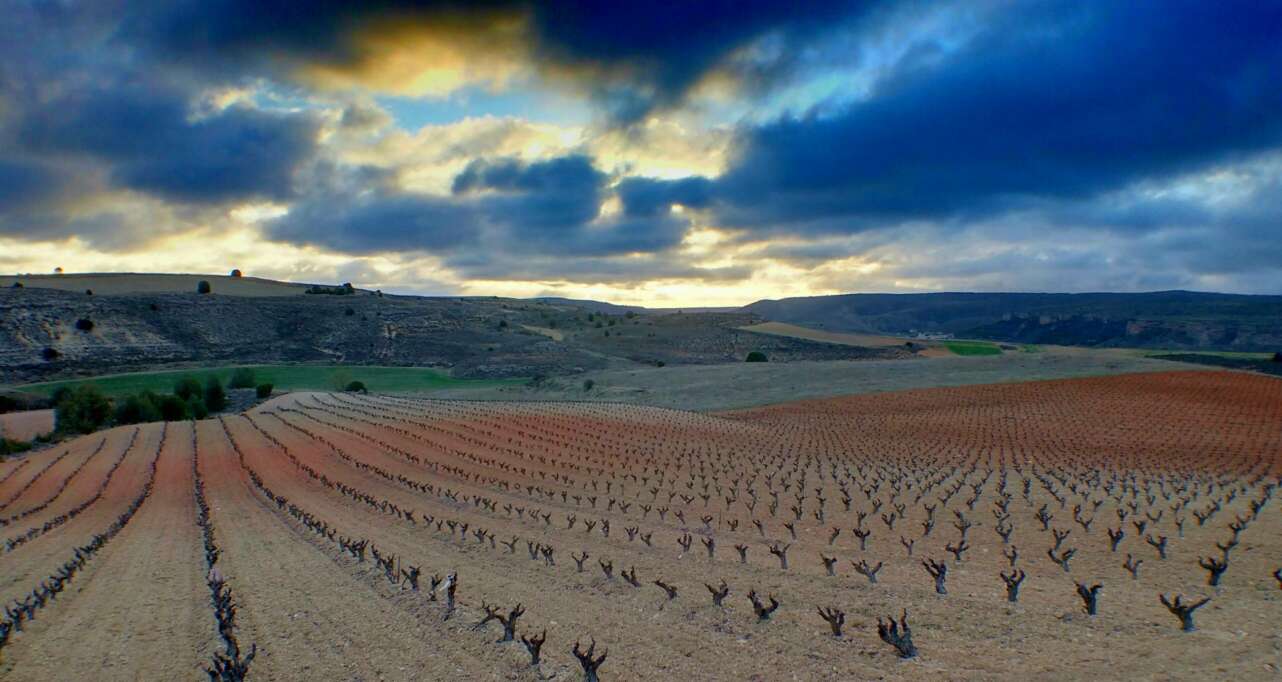 Ribera del Duero