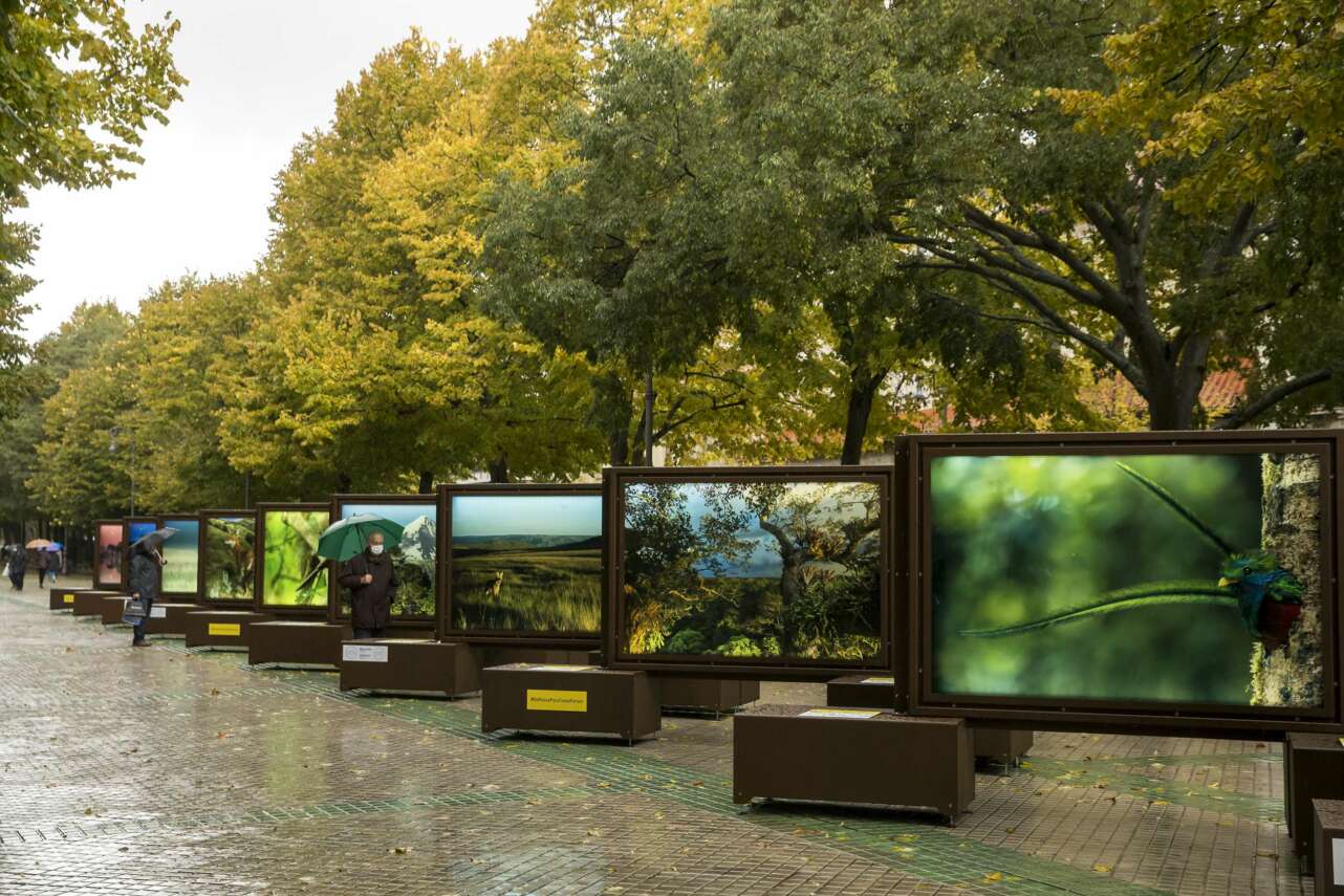 La exposición presenta 52 imágenes de gran belleza