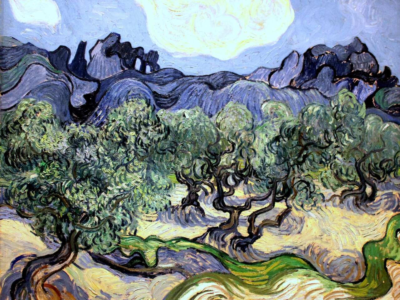 Vincent van Gogh, Painting_of_olive trees (1889). Foto Wikimedia Commons.